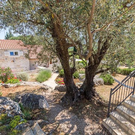 Olive Garden Apartment Ston Luaran gambar