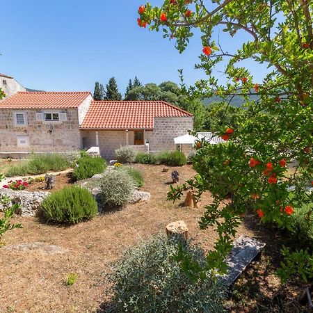 Olive Garden Apartment Ston Luaran gambar