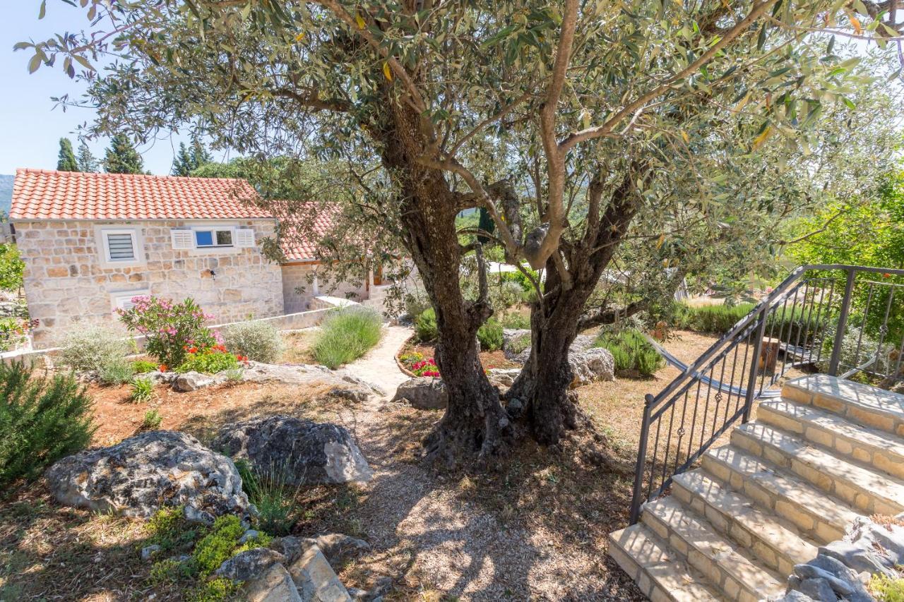 Olive Garden Apartment Ston Luaran gambar