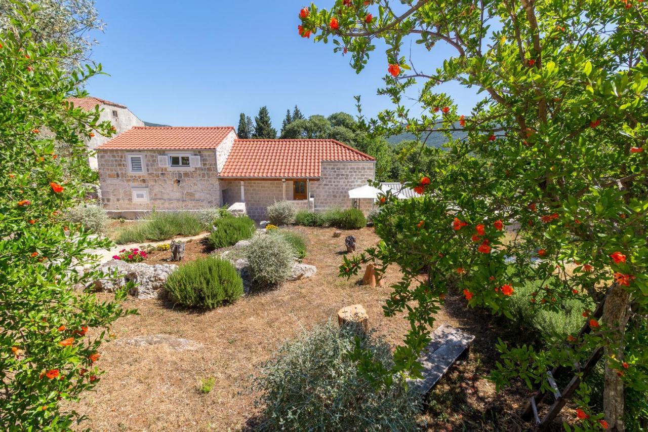 Olive Garden Apartment Ston Luaran gambar