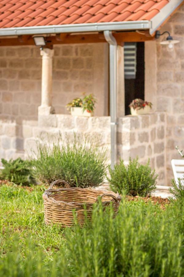 Olive Garden Apartment Ston Luaran gambar